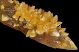 Amber-Yellow Calcite Crystals - Highly Fluorescent! #177286-1